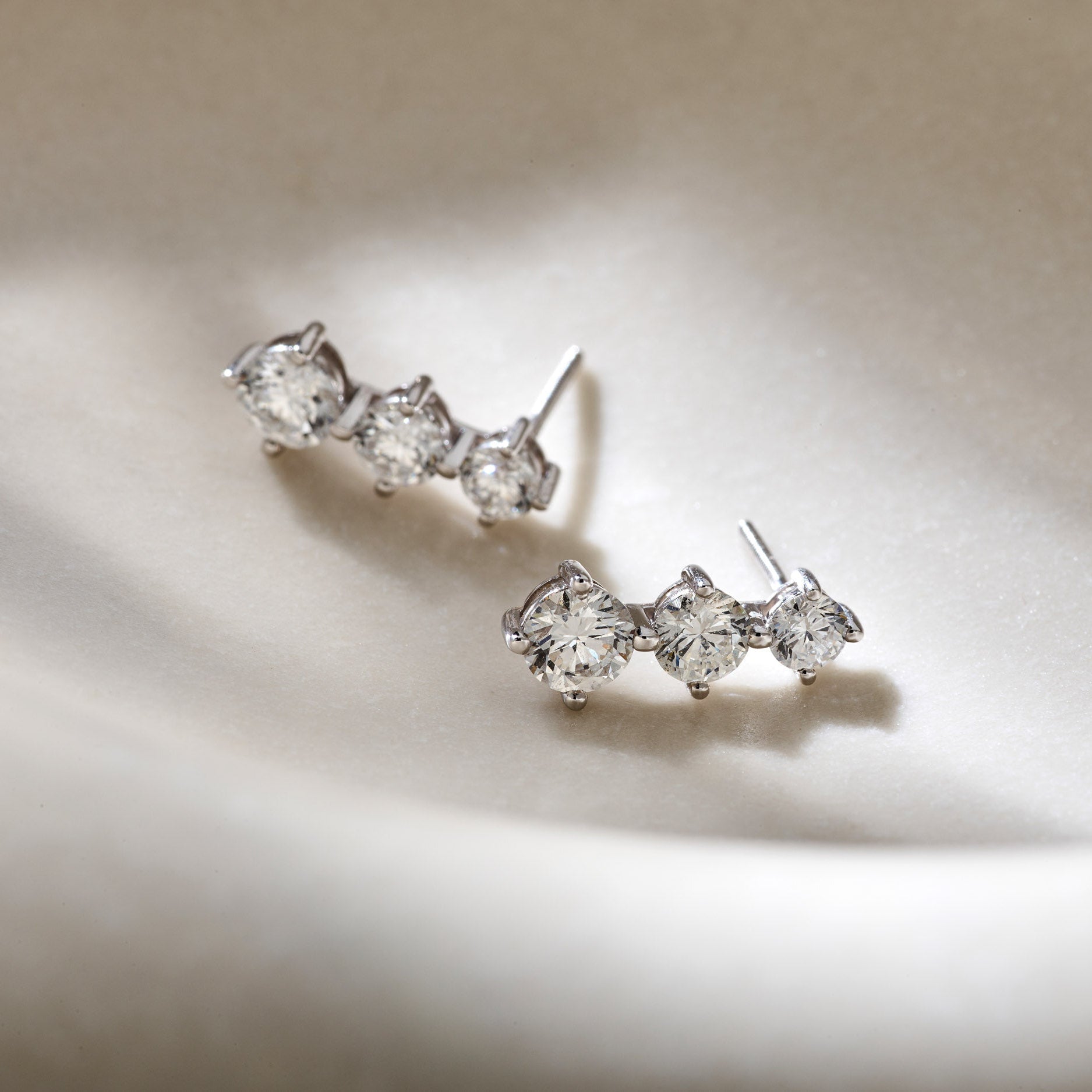 Journey oorbellen · 2.5 ct.