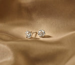 Louen Diamonds solitaire oorstekers zes pins 14k witgoud met 2.5ct diamant in totaal als sfeerbeeld op zachte achtergrond